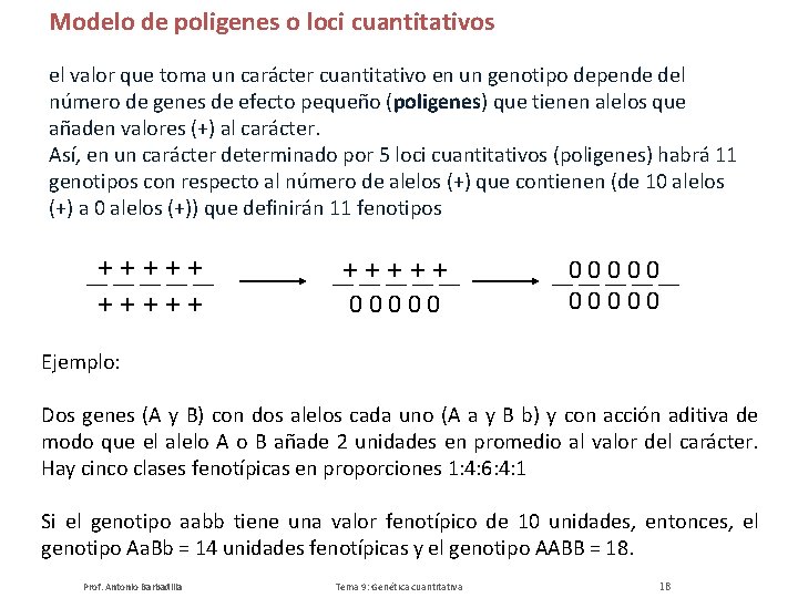 Modelo de poligenes o loci cuantitativos el valor que toma un carácter cuantitativo en