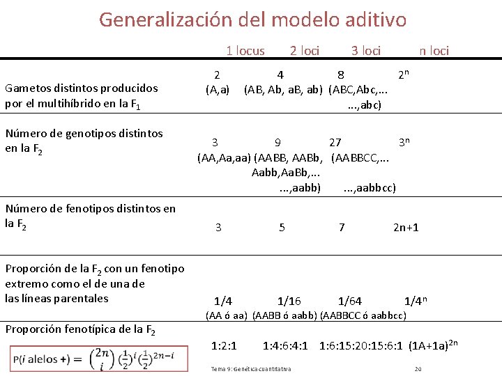 Generalización del modelo aditivo 1 locus Gametos distintos producidos por el multihíbrido en la