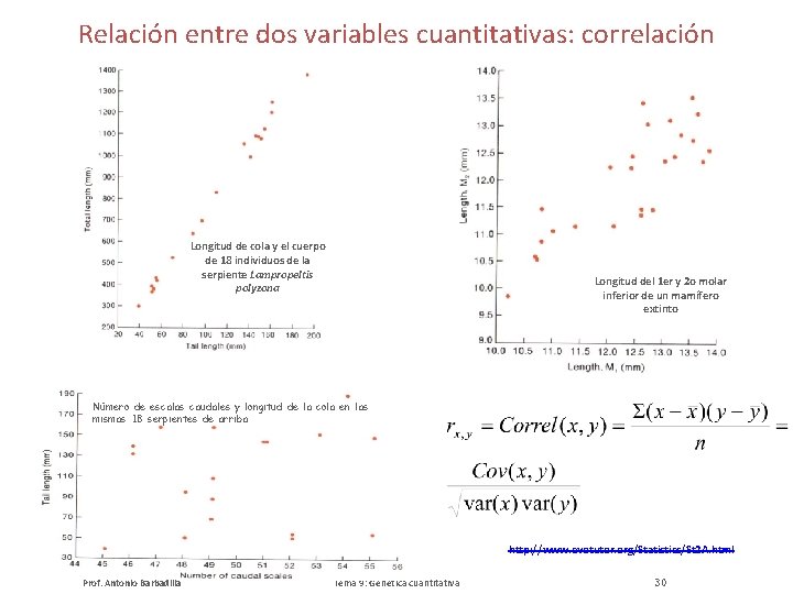 Relación entre dos variables cuantitativas: correlación Longitud de cola y el cuerpo de 18