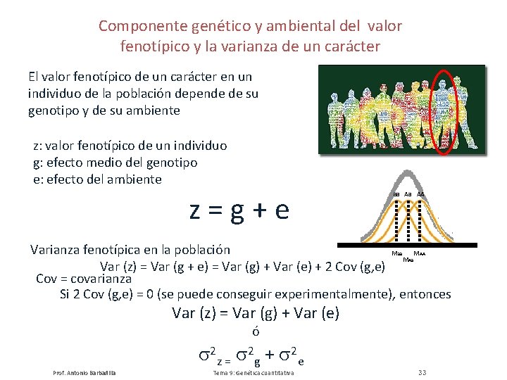 Componente genético y ambiental del valor fenotípico y la varianza de un carácter El