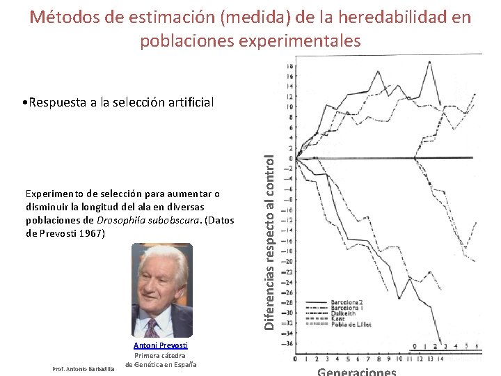 Métodos de estimación (medida) de la heredabilidad en poblaciones experimentales Experimento de selección para