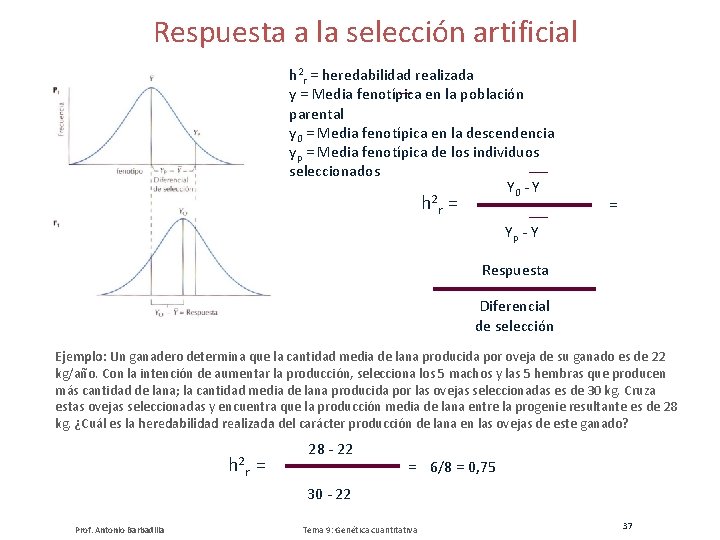 Respuesta a la selección artificial h 2 r = heredabilidad realizada y = Media