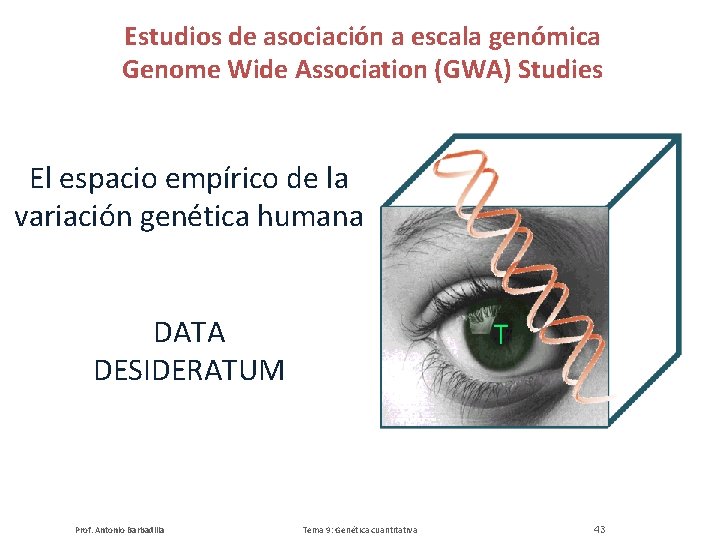 Estudios de asociación a escala genómica Genome Wide Association (GWA) Studies El espacio empírico