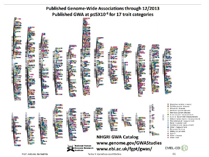 Prof. Antonio Barbadilla Tema 9: Genética cuantitativa 46 