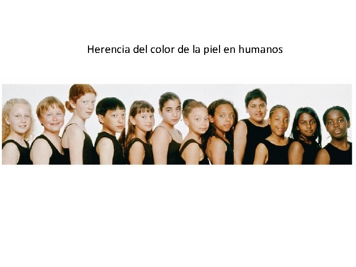 Herencia del color de la piel en humanos 