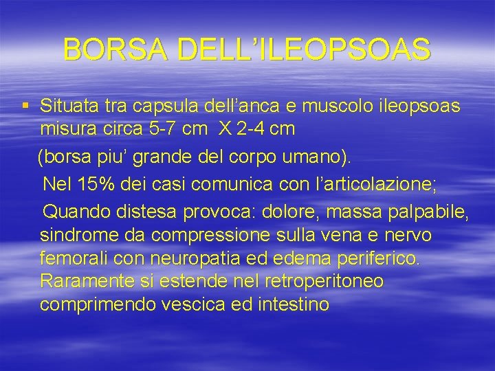 BORSA DELL’ILEOPSOAS § Situata tra capsula dell’anca e muscolo ileopsoas misura circa 5 -7