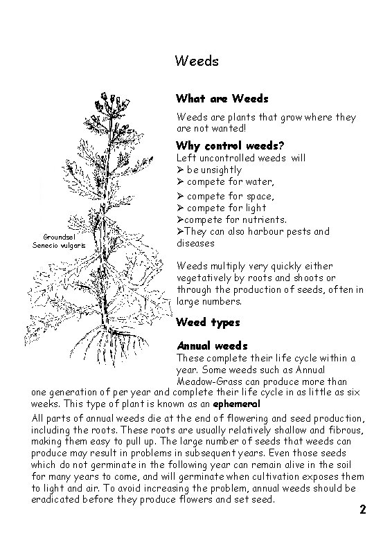 Weeds What are Weeds are plants that grow where they are not wanted! Why Weeds What are Weeds are plants that grow where they are not wanted! Why