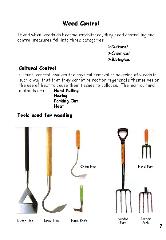 Weed Control If and when weeds do become established, they need controlling and control Weed Control If and when weeds do become established, they need controlling and control