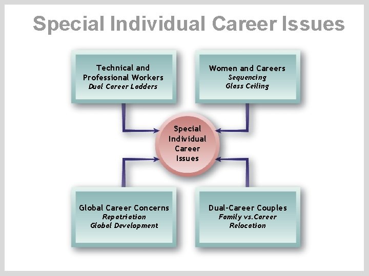 Special Individual Career Issues Technical and Professional Workers Women and Careers Sequencing Glass Ceiling