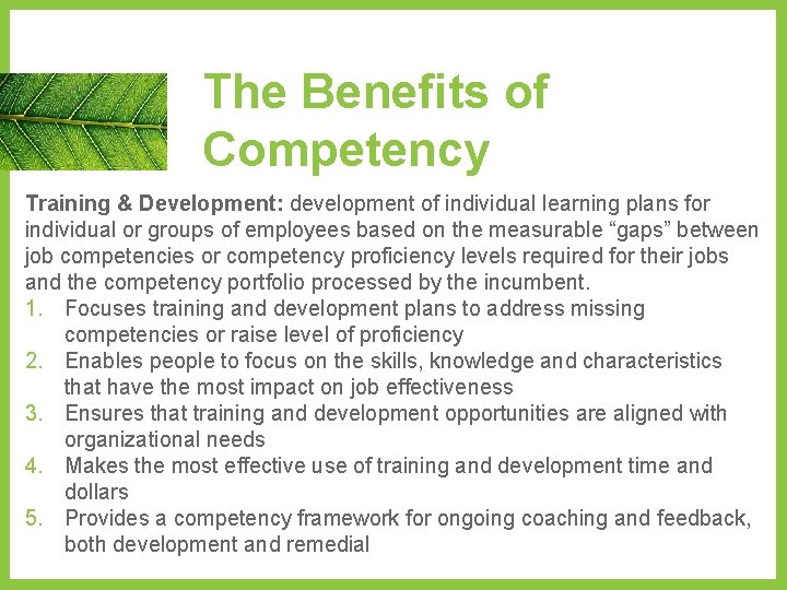 The Benefits of Competency Training & Development: development of individual learning plans for individual