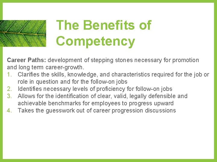 The Benefits of Competency Career Paths: development of stepping stones necessary for promotion and