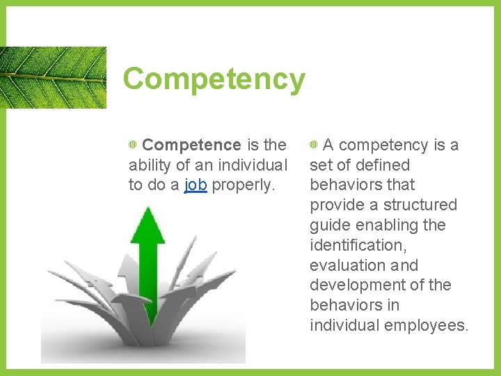 Competency ◍ Competence is the ability of an individual to do a job properly.