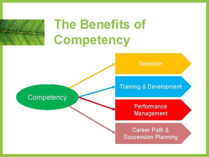 The Benefits of Competency Selection Training & Development Competency Performance Management Career Path &