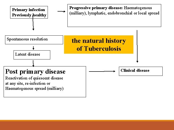 Primary infection Previously healthy Spontaneous resolution Latent disease Post primary disease Reactivation of quiescent