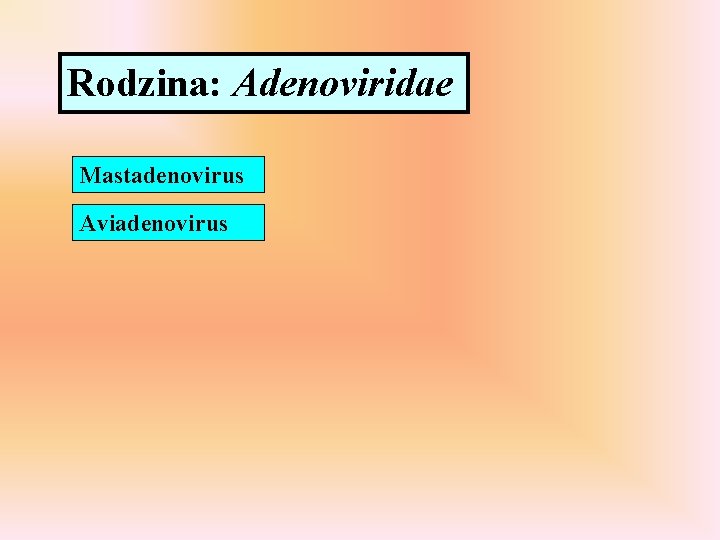 Rodzina: Adenoviridae Mastadenovirus Aviadenovirus 
