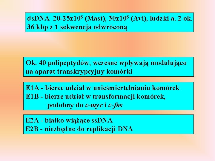ds. DNA 20 -25 x 106 (Mast), 30 x 106 (Avi), ludzki a. 2