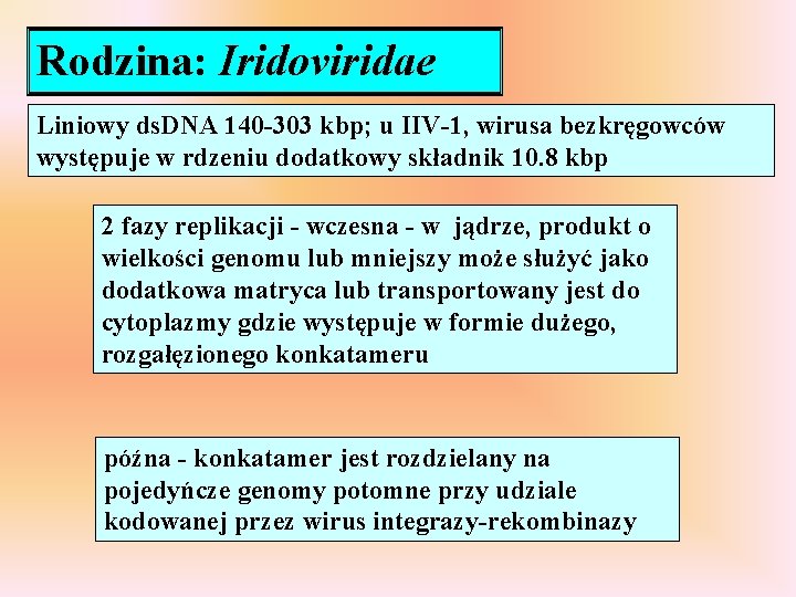 Rodzina: Iridoviridae Liniowy ds. DNA 140 -303 kbp; u IIV-1, wirusa bezkręgowców występuje w