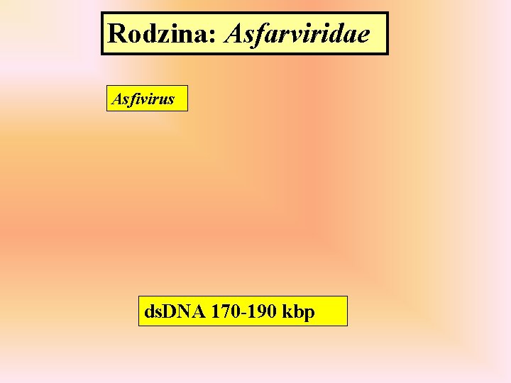 Rodzina: Asfarviridae Asfivirus ds. DNA 170 -190 kbp 