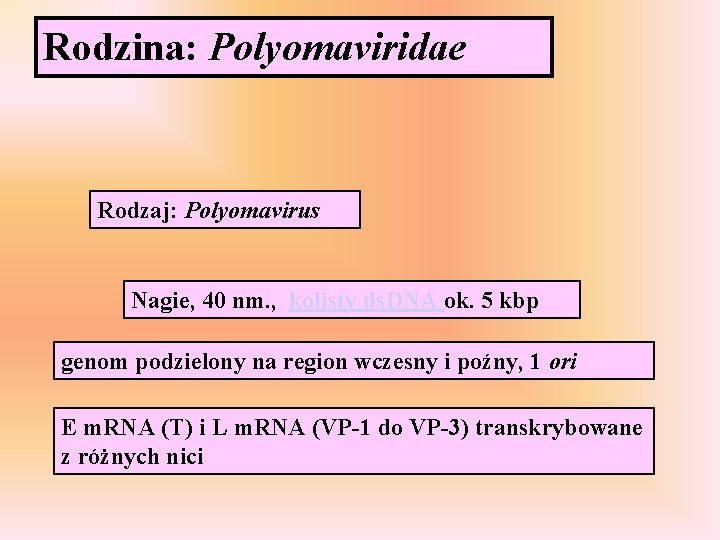Rodzina: Polyomaviridae Rodzaj: Polyomavirus Nagie, 40 nm. , kolisty ds. DNA ok. 5 kbp