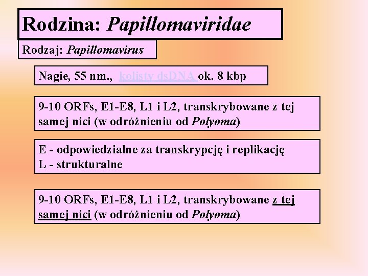 Rodzina: Papillomaviridae Rodzaj: Papillomavirus Nagie, 55 nm. , kolisty ds. DNA ok. 8 kbp