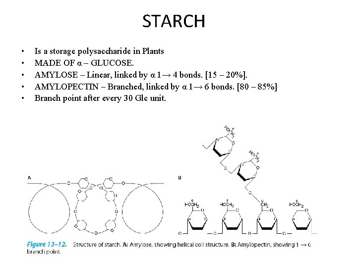 STARCH • • • Is a storage polysaccharide in Plants MADE OF α –