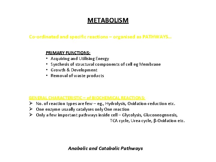 METABOLISM Co-ordinated and specific reactions – organised as PATHWAYS… PRIMARY FUNCTIONS: • Acquiring and