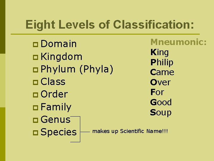 Eight Levels of Classification: p Domain p Kingdom p Phylum p Class p Order