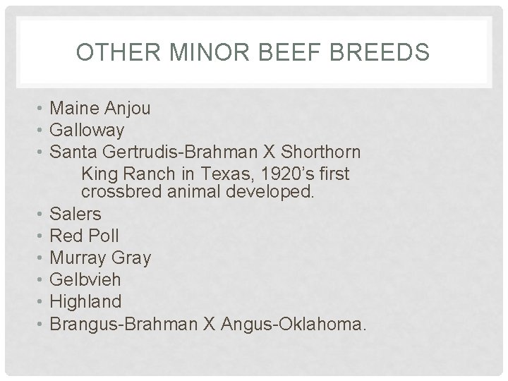 OTHER MINOR BEEF BREEDS • Maine Anjou • Galloway • Santa Gertrudis-Brahman X Shorthorn