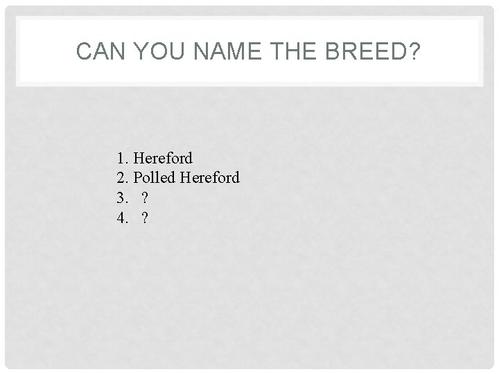CAN YOU NAME THE BREED? 1. Hereford 2. Polled Hereford 3. ? 4. ?