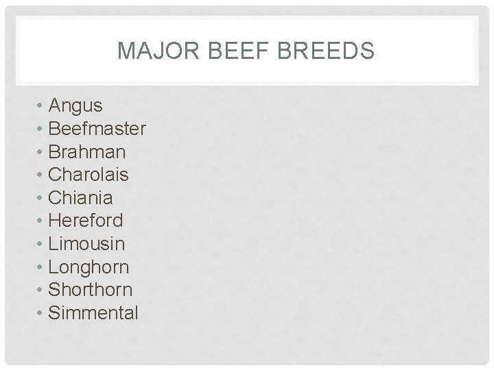 MAJOR BEEF BREEDS • Angus • Beefmaster • Brahman • Charolais • Chiania •