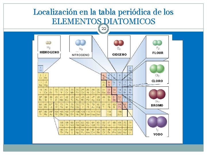 Localización en la tabla periódica de los ELEMENTOS DIATOMICOS 22 HIDROGENO NITROGENO OXIGENO FLOUR
