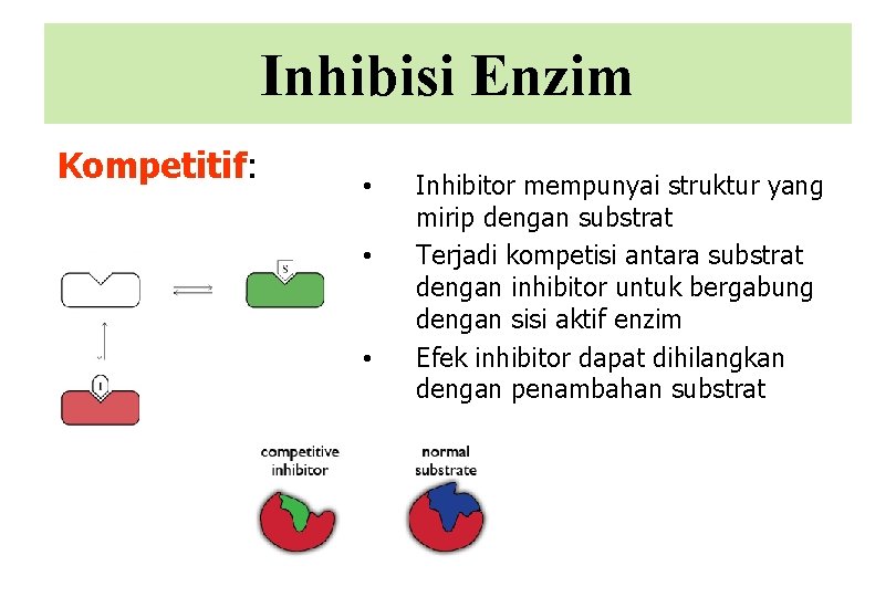 Inhibisi Enzim Kompetitif: • • • Inhibitor mempunyai struktur yang mirip dengan substrat Terjadi
