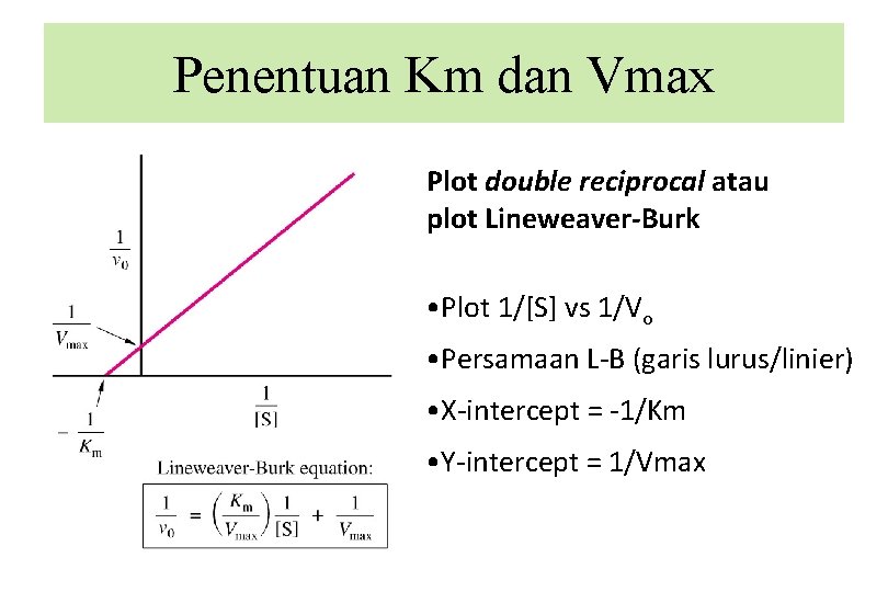 Penentuan Km dan Vmax Plot double reciprocal atau plot Lineweaver-Burk • Plot 1/[S] vs