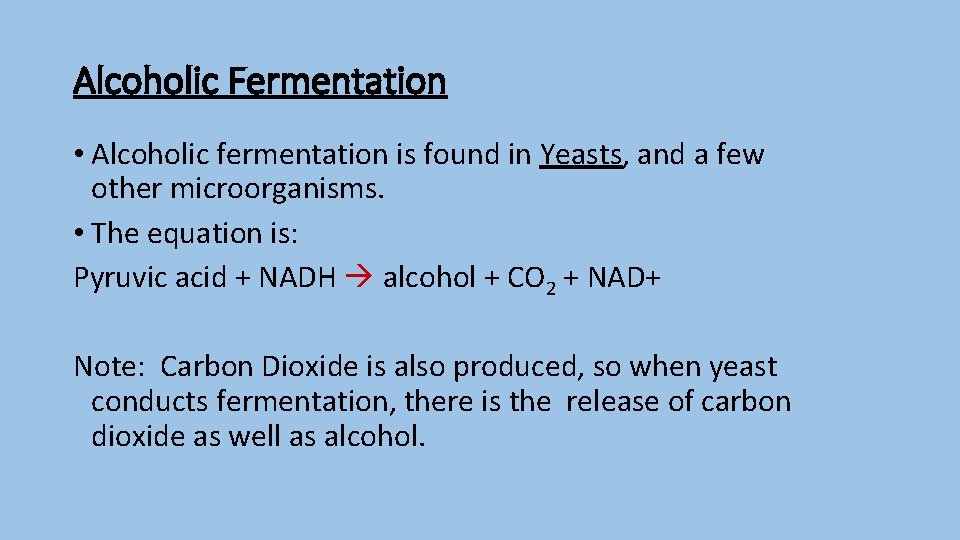 Alcoholic Fermentation • Alcoholic fermentation is found in Yeasts, and a few other microorganisms.
