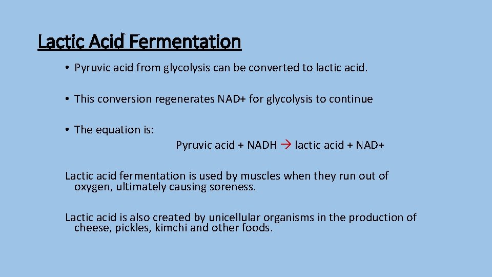 Lactic Acid Fermentation • Pyruvic acid from glycolysis can be converted to lactic acid.