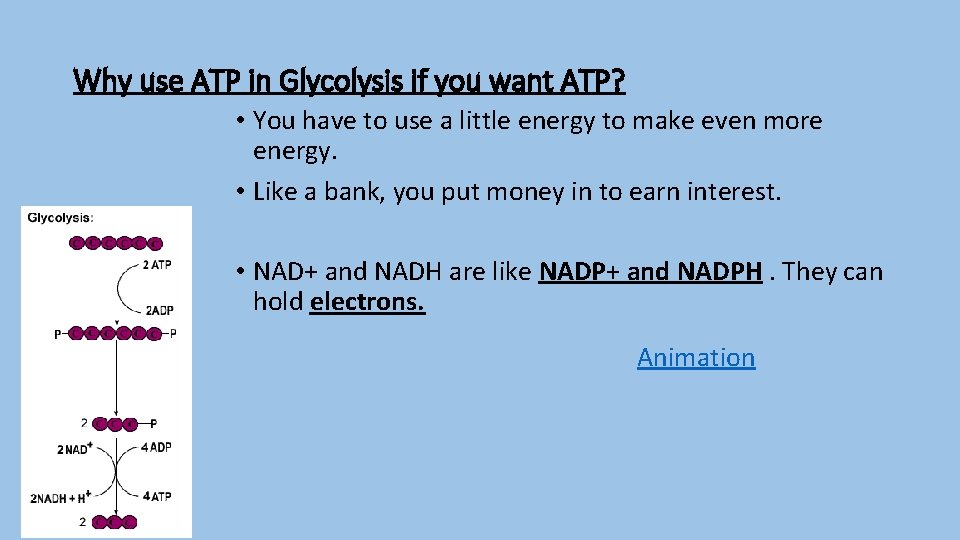 Why use ATP in Glycolysis if you want ATP? • You have to use