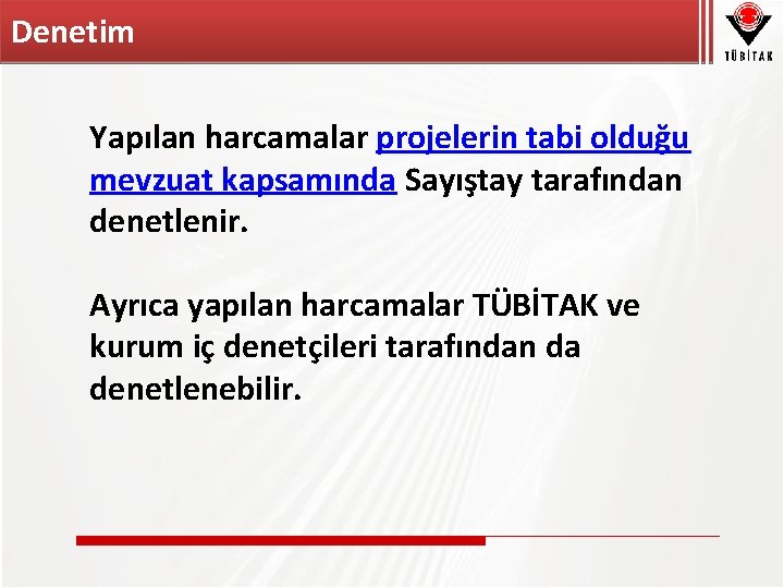 Denetim Yapılan harcamalar projelerin tabi olduğu mevzuat kapsamında Sayıştay tarafından denetlenir. Ayrıca yapılan harcamalar