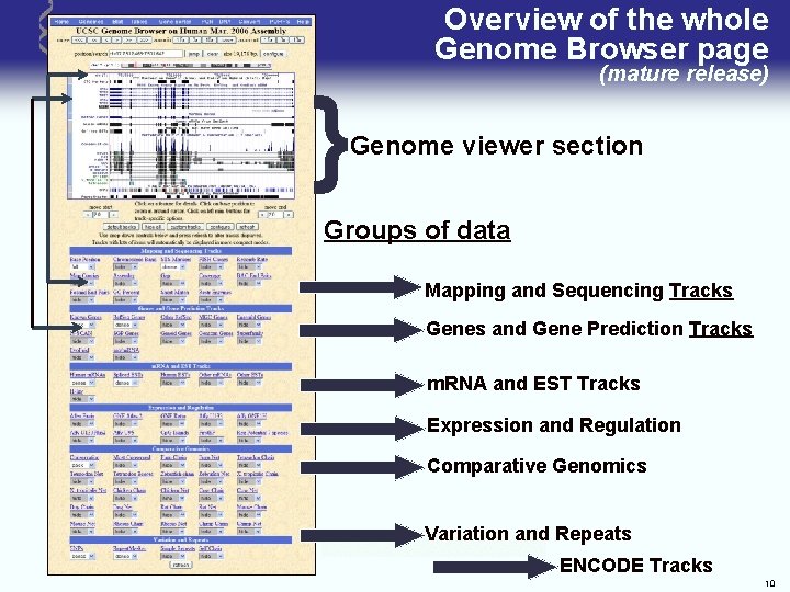 Overview of the whole Genome Browser page (mature release) } Genome viewer section Groups