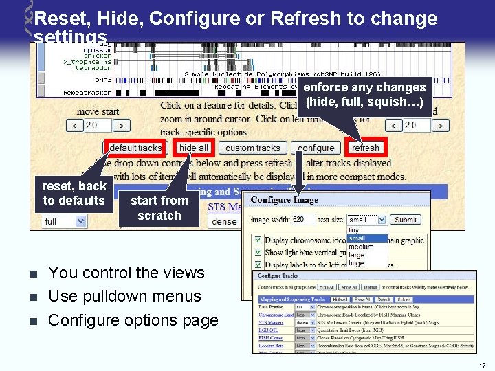 Reset, Hide, Configure or Refresh to change settings enforce any changes (hide, full, squish…)