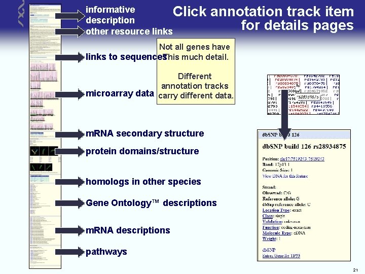 informative Click description other resource links annotation track item for details pages Not all