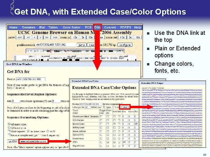 Get DNA, with Extended Case/Color Options n n n Use the DNA link at