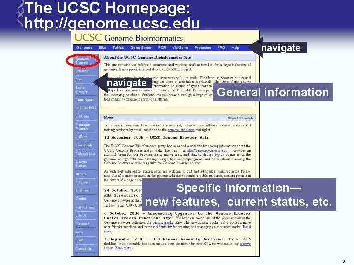 The UCSC Homepage: http: //genome. ucsc. edu navigate General information Specific information— new features,