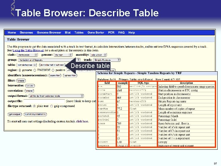 Table Browser: Describe Table Describe table 37 