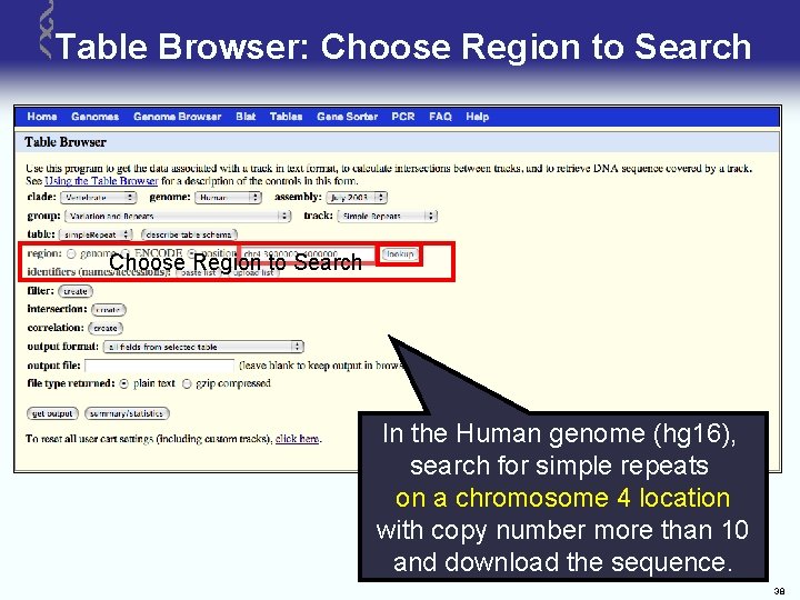 Table Browser: Choose Region to Search In the Human genome (hg 16), search for