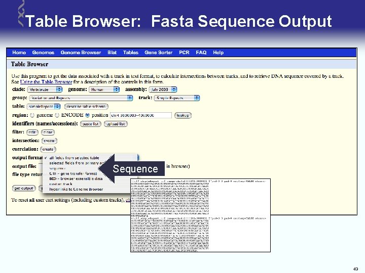 Table Browser: Fasta Sequence Output Sequence 43 