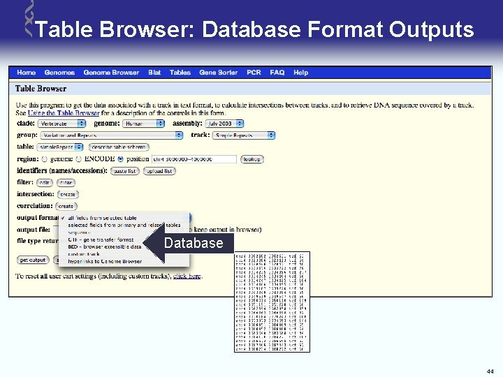 Table Browser: Database Format Outputs Database 44 