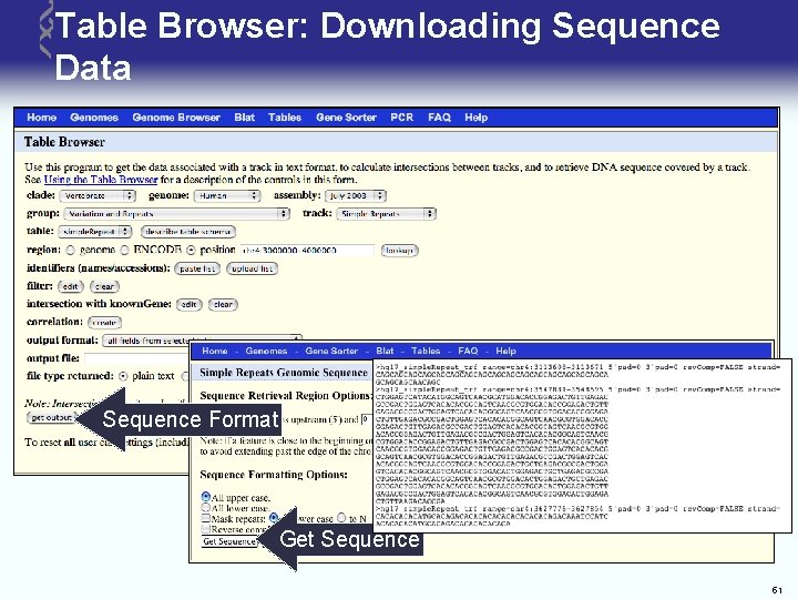 Table Browser: Downloading Sequence Data Sequence Format Get Sequence 51 