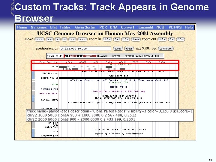 Custom Tracks: Track Appears in Genome Browser 60 