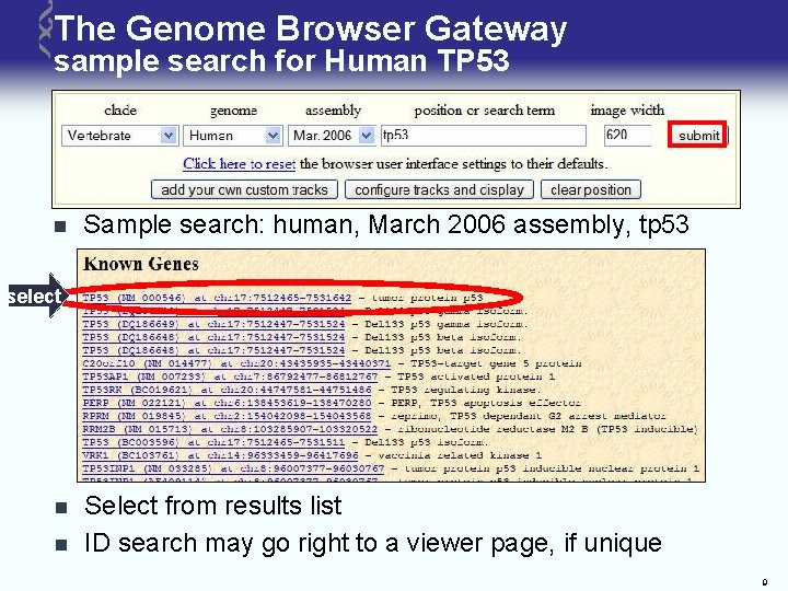 The Genome Browser Gateway sample search for Human TP 53 n Sample search: human,