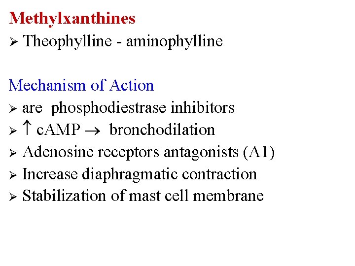 Methylxanthines Ø Theophylline - aminophylline Mechanism of Action Ø are phosphodiestrase inhibitors Ø c.